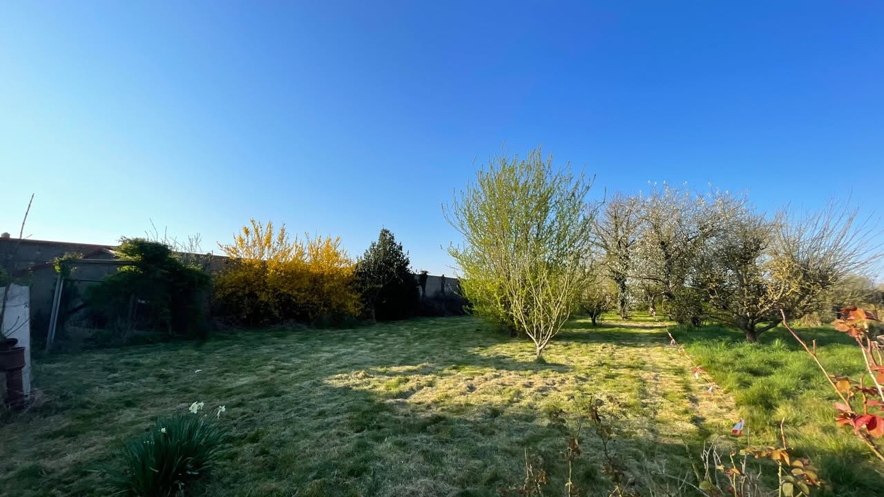 Terrain 1000 m2 — photo 2