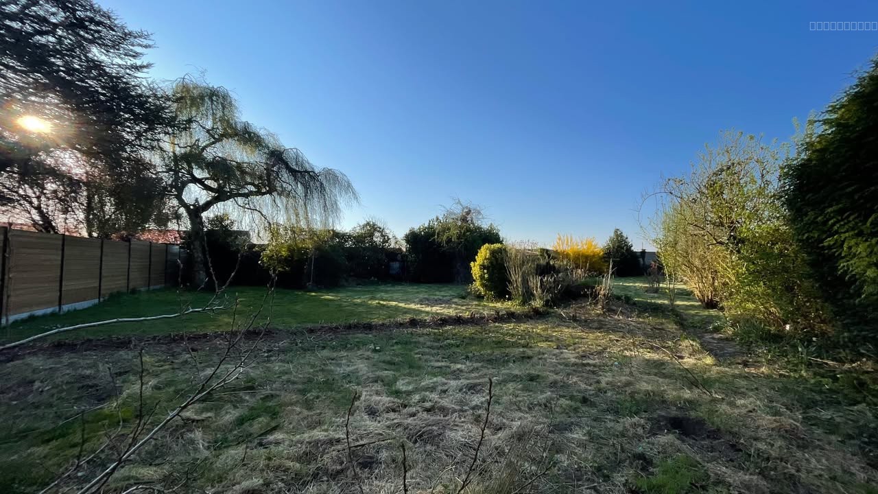 Terrain 1000 m2 — photo 3