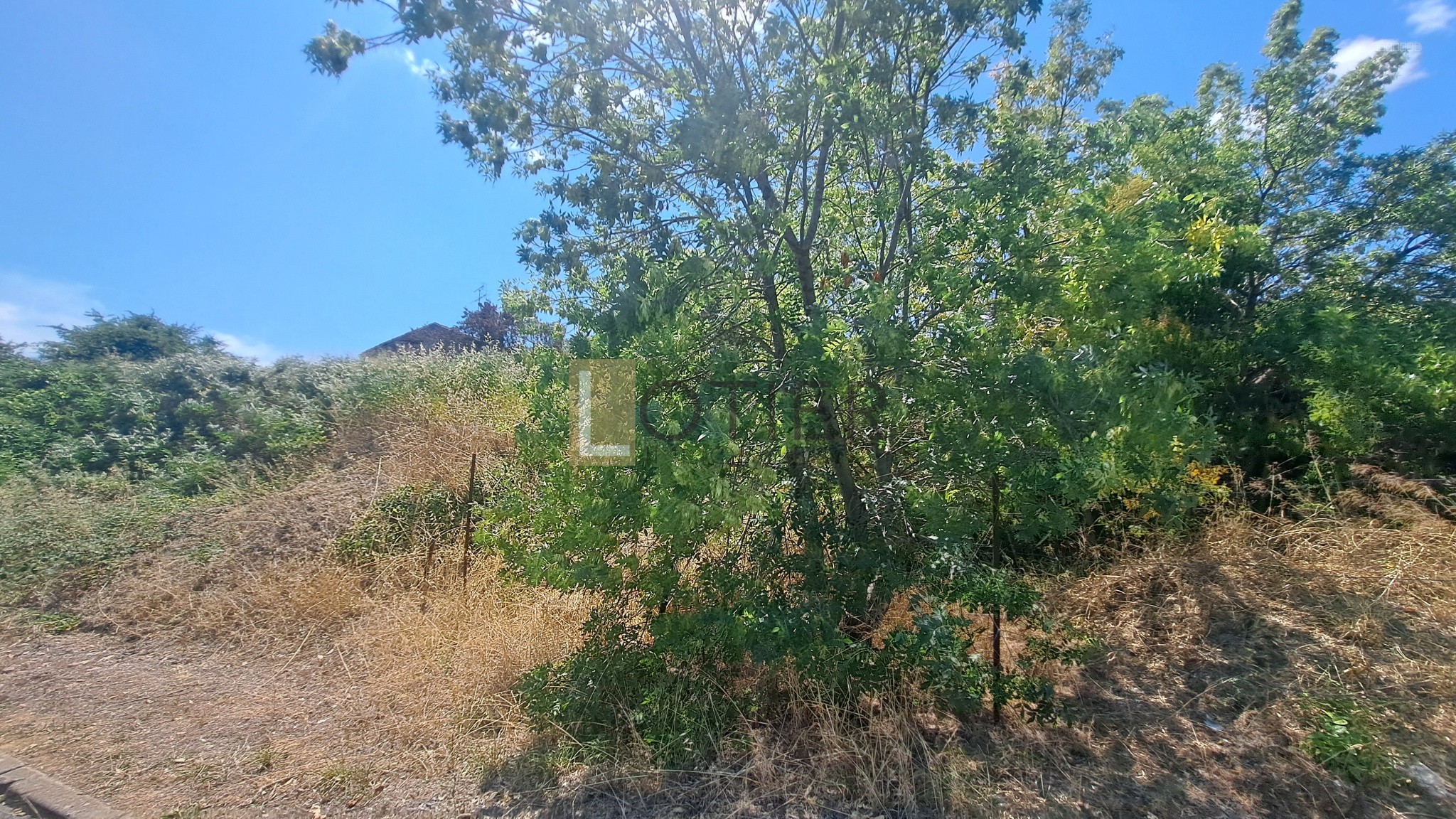 À VENDRE   MURVIEL-LÈS-BÉZIERS - TERRAIN À BÂTIR DE 1 210 M2 — photo 3