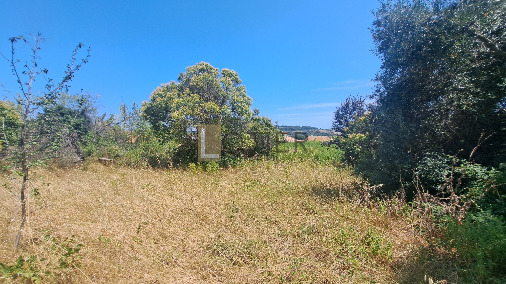 À VENDRE   MURVIEL-LÈS-BÉZIERS - TERRAIN À BÂTIR DE 1 210 M2 — photo 2