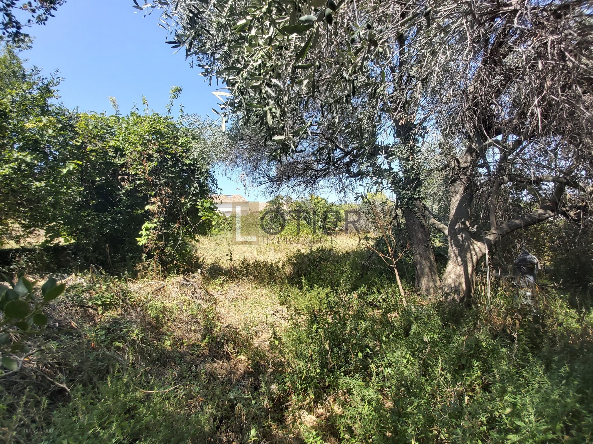 À VENDRE   MURVIEL-LÈS-BÉZIERS - TERRAIN À BÂTIR DE 1 210 M2 — photo 4