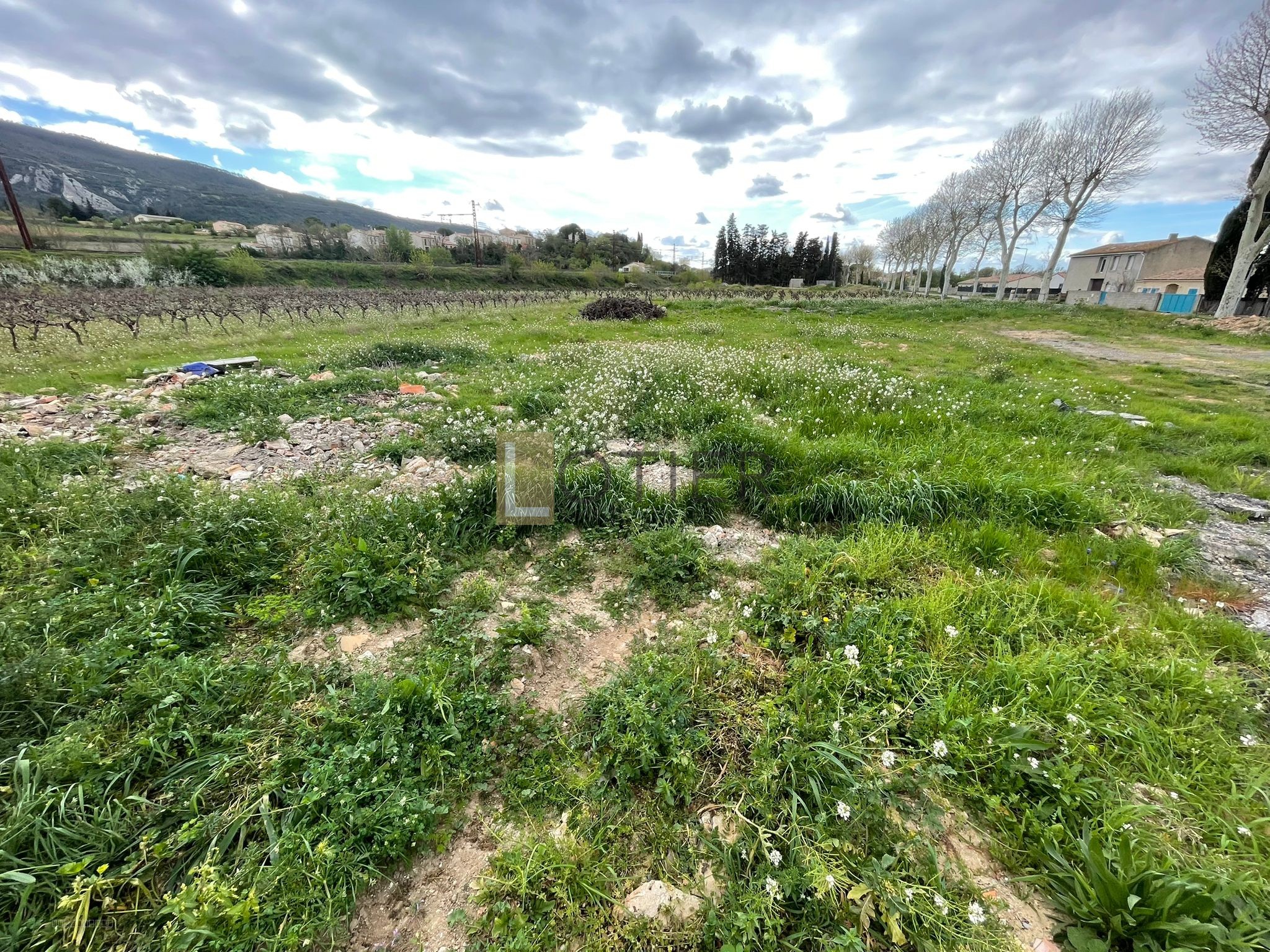Terrain de loisir à proximité des habitations — photo 2