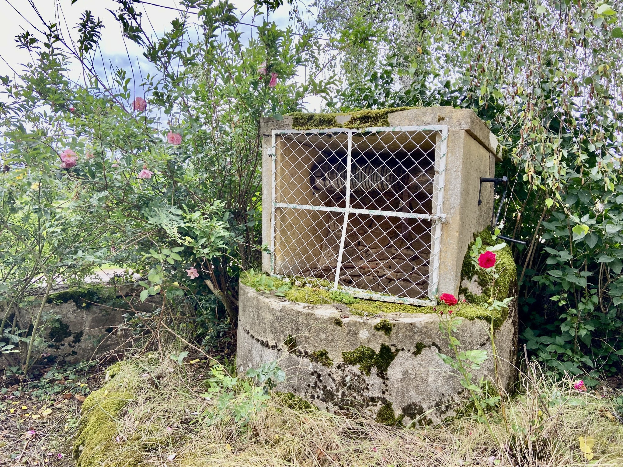 Maison de charme de 150m2 et 4160m2 de terrain — photo 16