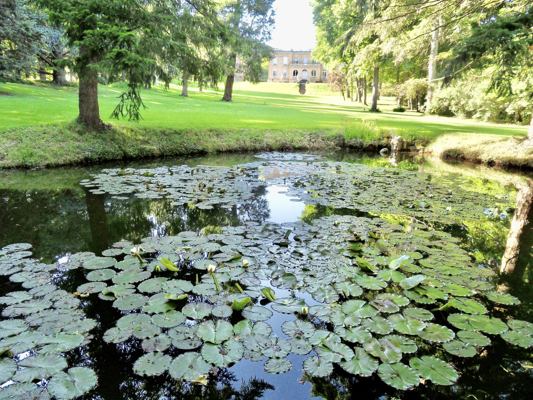 Magnifique château néoclassique — photo 19