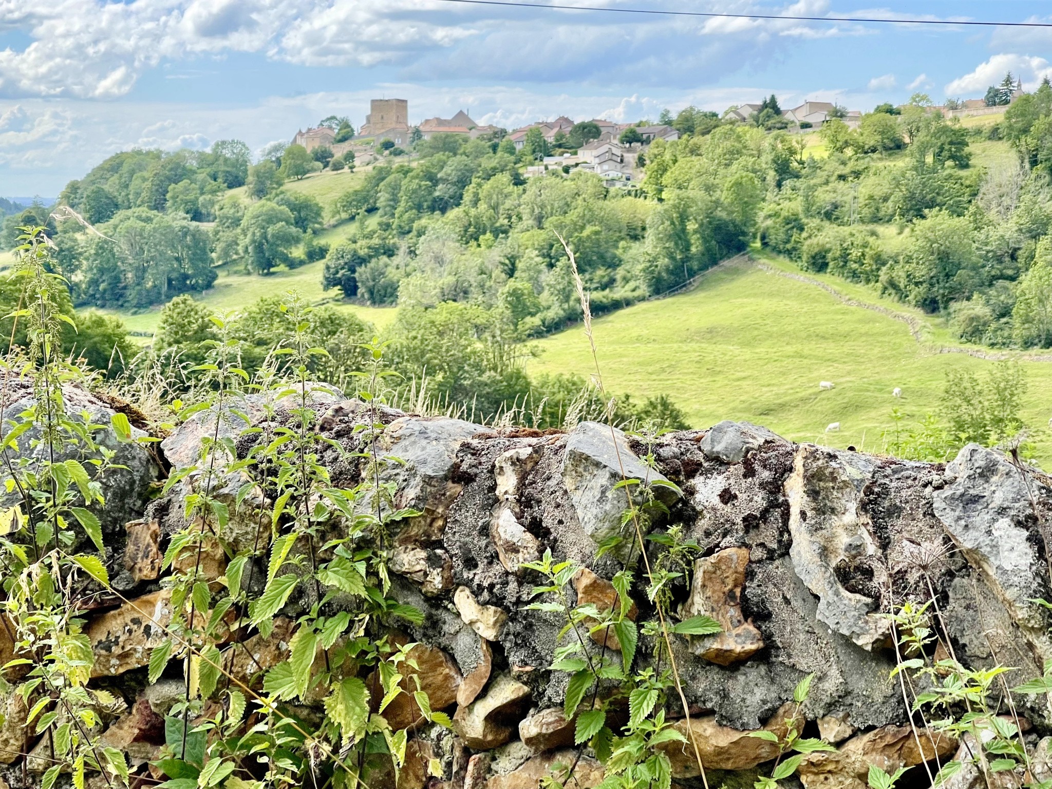 Magnifique Propriété proche de Paray-Le-Monial — photo 7