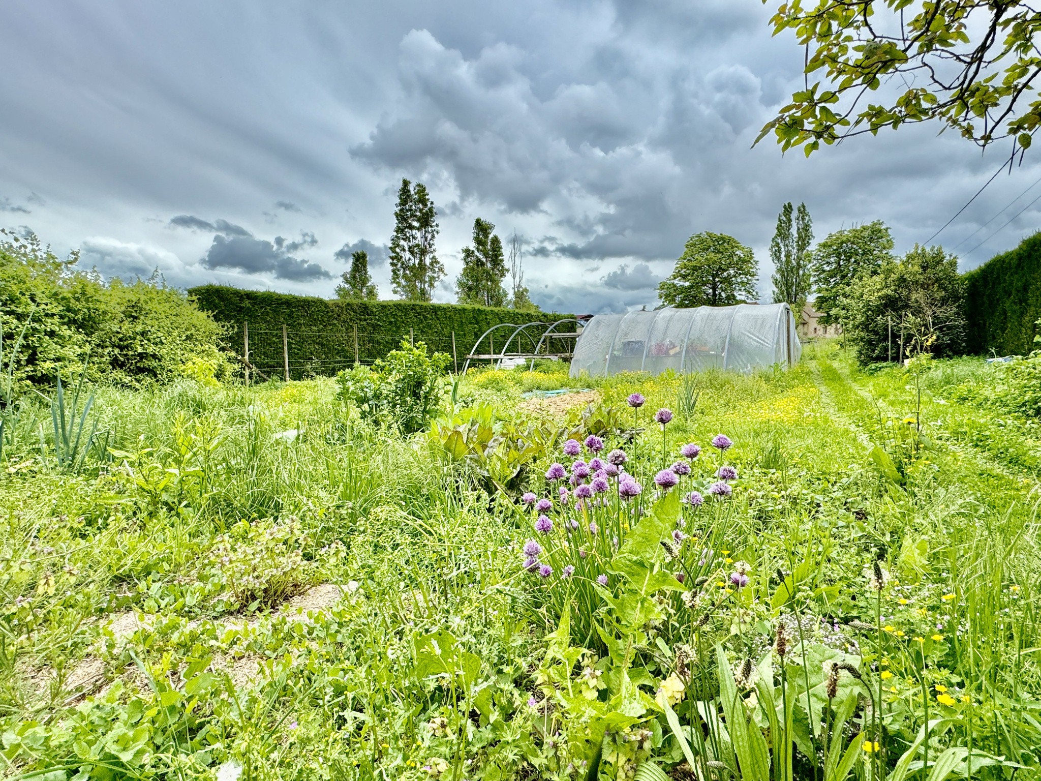 Maison contemporaine proche de Gueugnon — photo 2