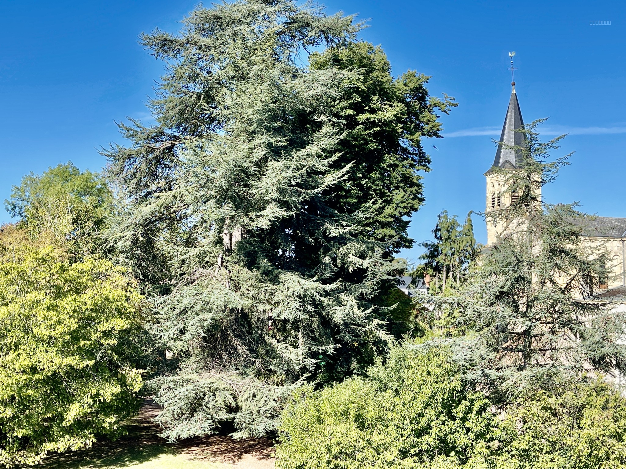 Demeure de caractère — photo 3