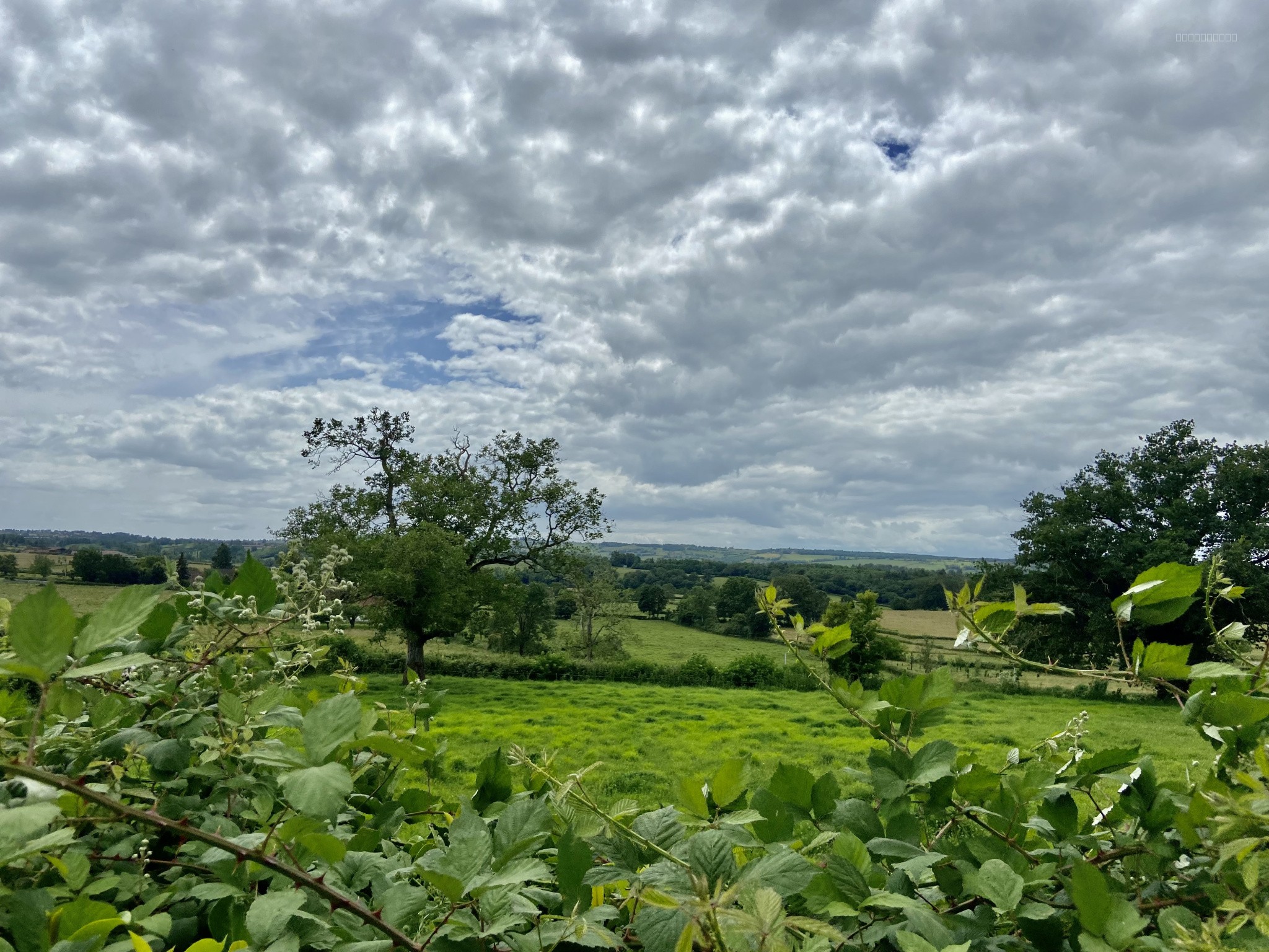 Maison de charme de 150m2 et 4160m2 de terrain — photo 3