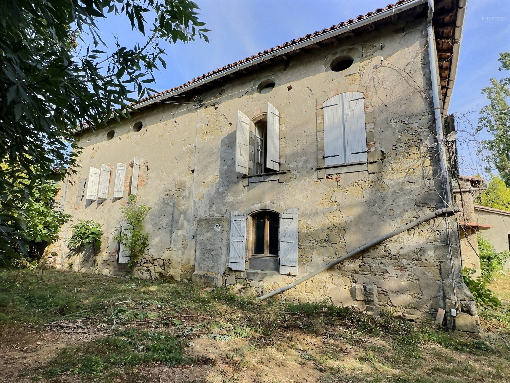 Ensemble immobilier + dépendance — photo 15
