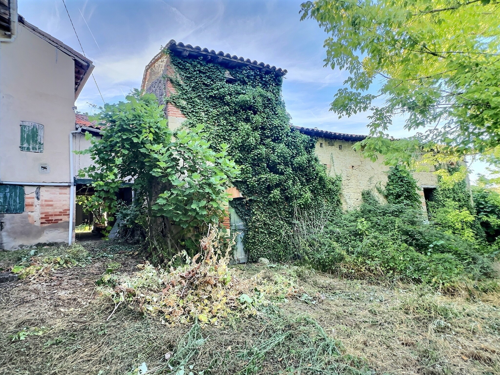 Ensemble immobilier + dépendance — photo 17