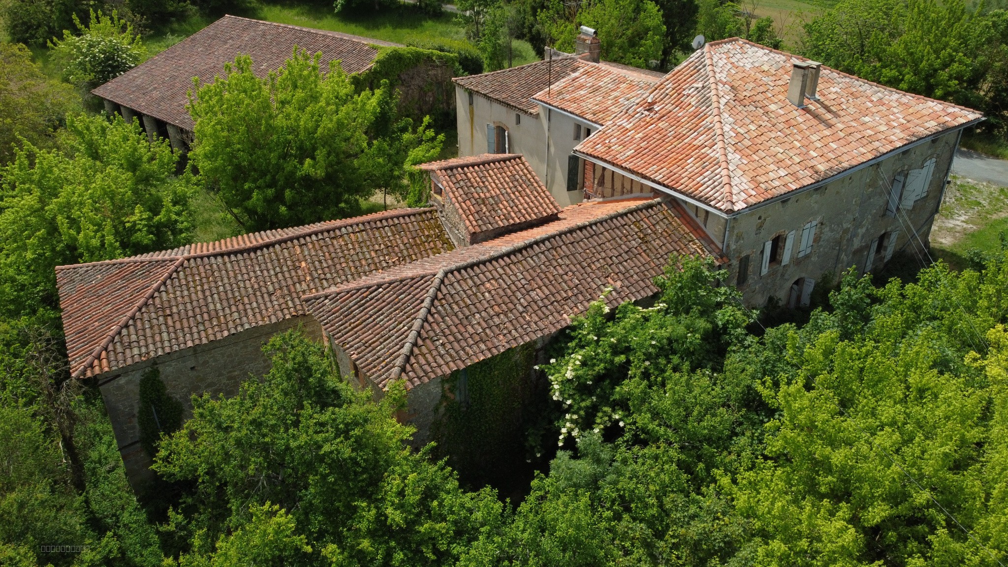 Ensemble immobilier + dépendance — photo 2