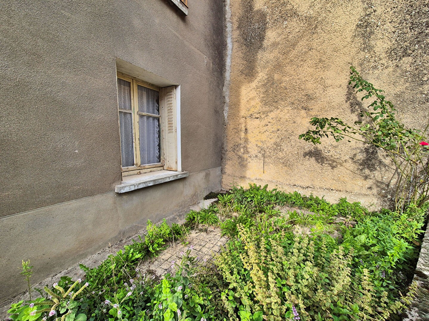 'A l'état Brut...' — photo 3