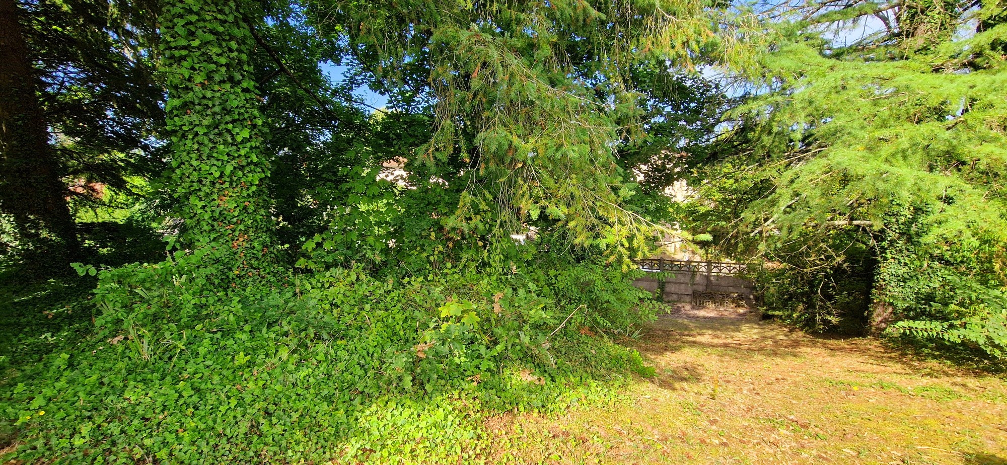 MAISON ANTHON à FORT POTENTIEL — photo 17