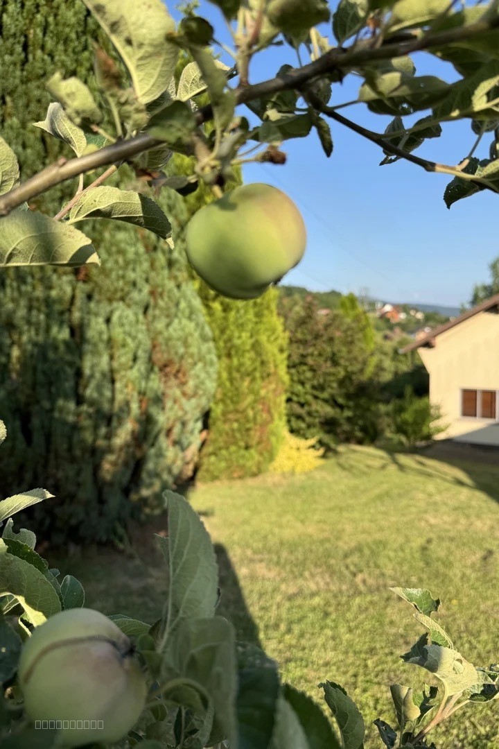 Maison 6 pièces de 165 m2 avec vue ! — photo 14