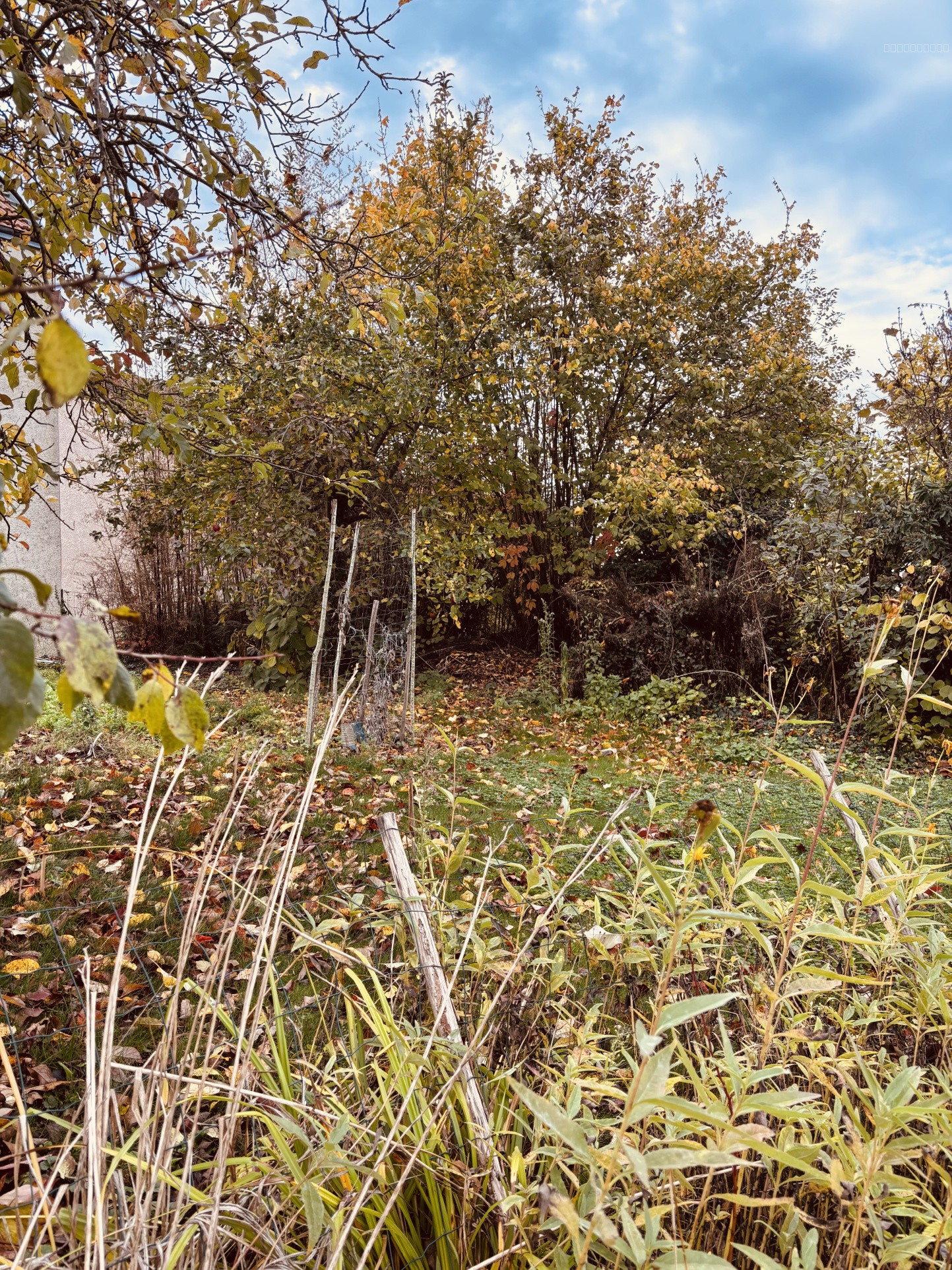 Terrain constructible de 410m2