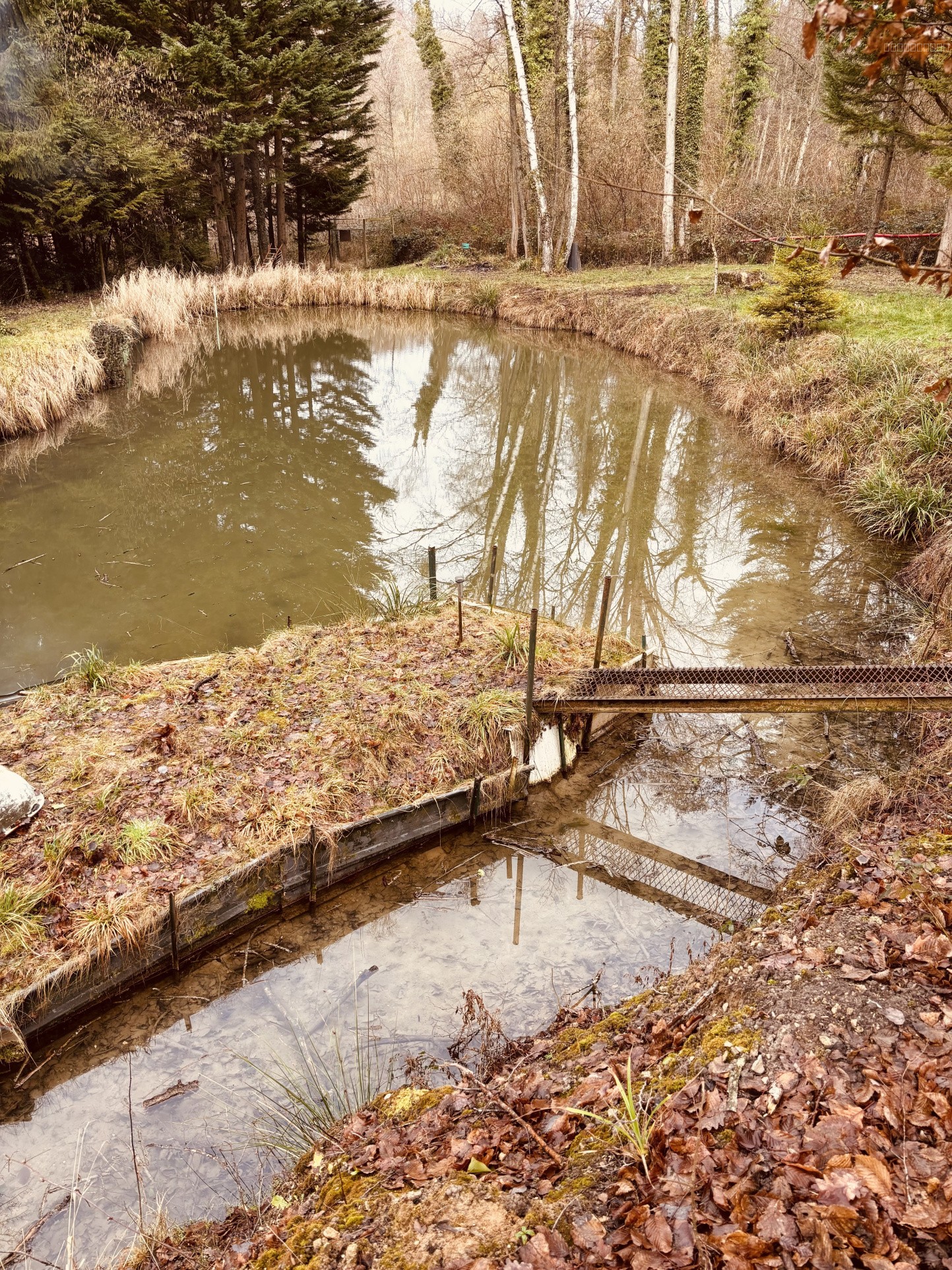 Étang avec terrain de loisir à Ployard et Vaurseine — photo 3