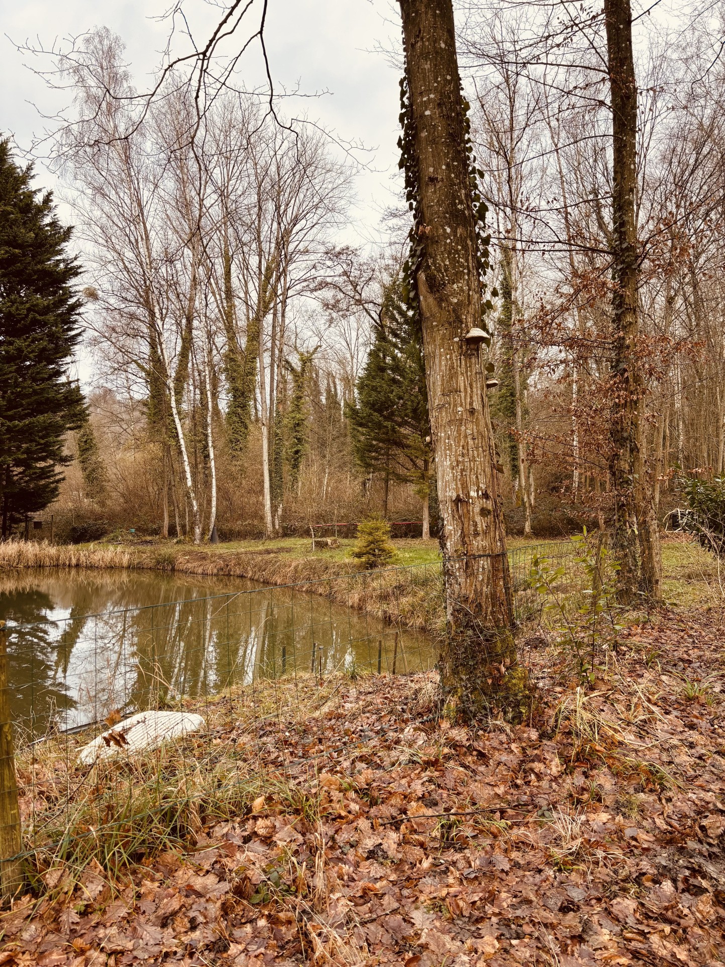 Étang avec terrain de loisir à Ployard et Vaurseine — photo 1