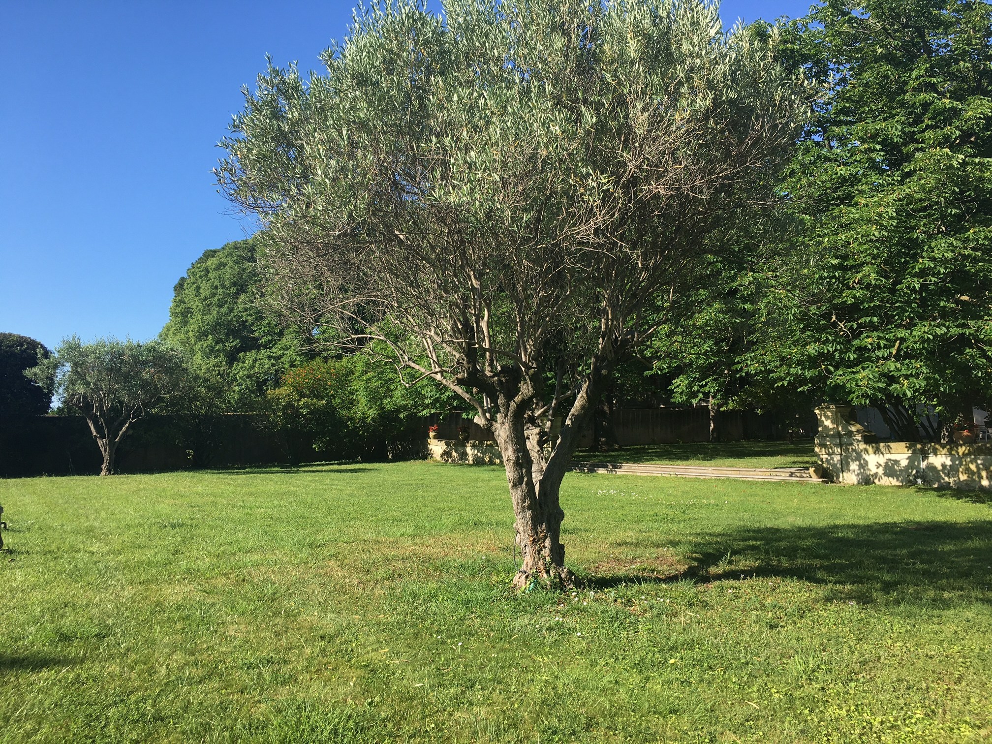 VILLA PROVENÇALE SUR UN TERRAIN DE 640 m2 - LUNEL-VIEL À 20 MN DE MONTPELLIER — photo 13