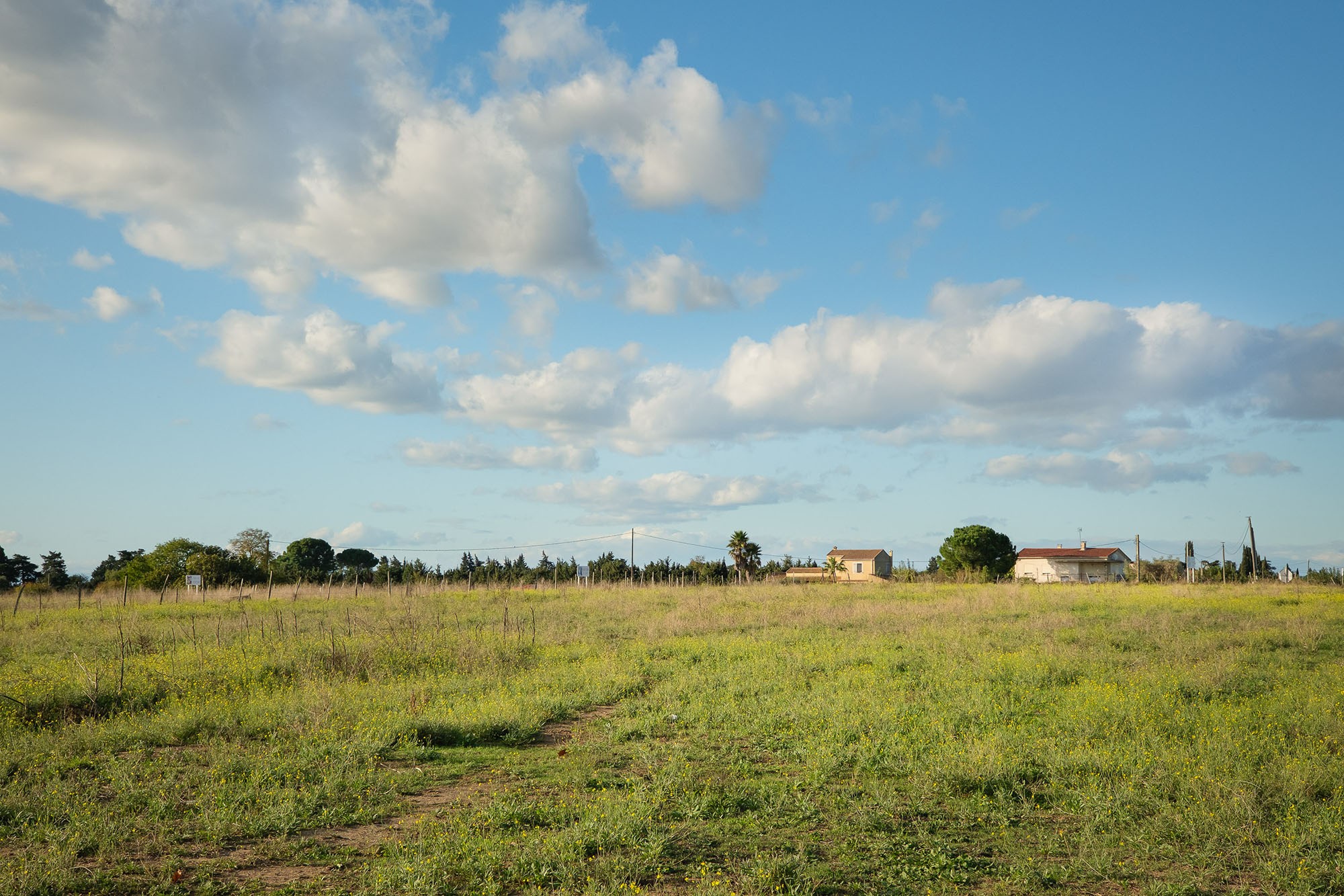 Dossier No Terrain_LOT27_ LE CAILAR — photo 5