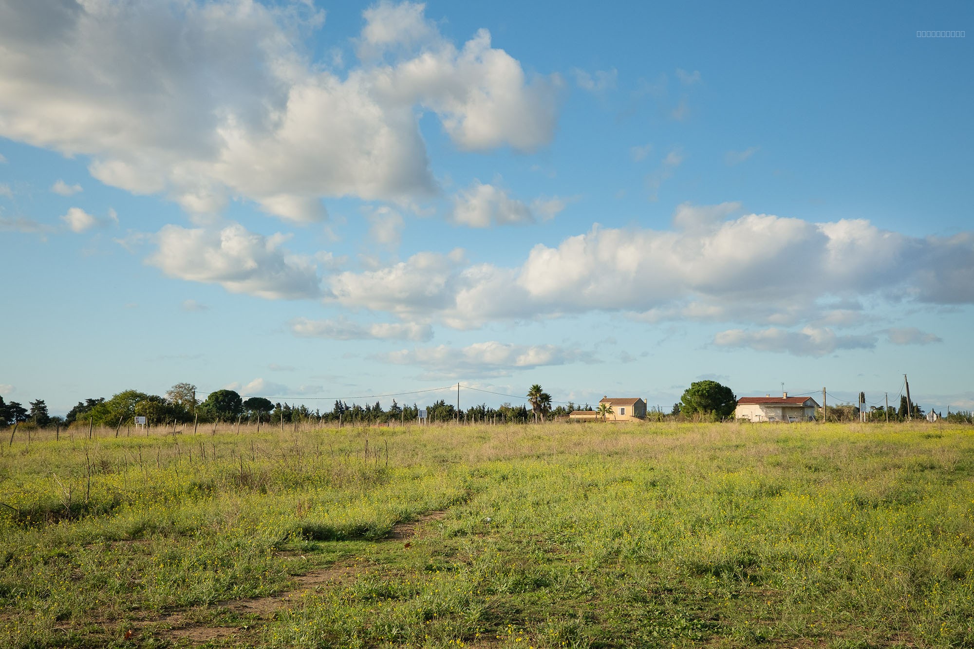 DOSSIER No_Terrain_LOT7_LE CAILAR — photo 3