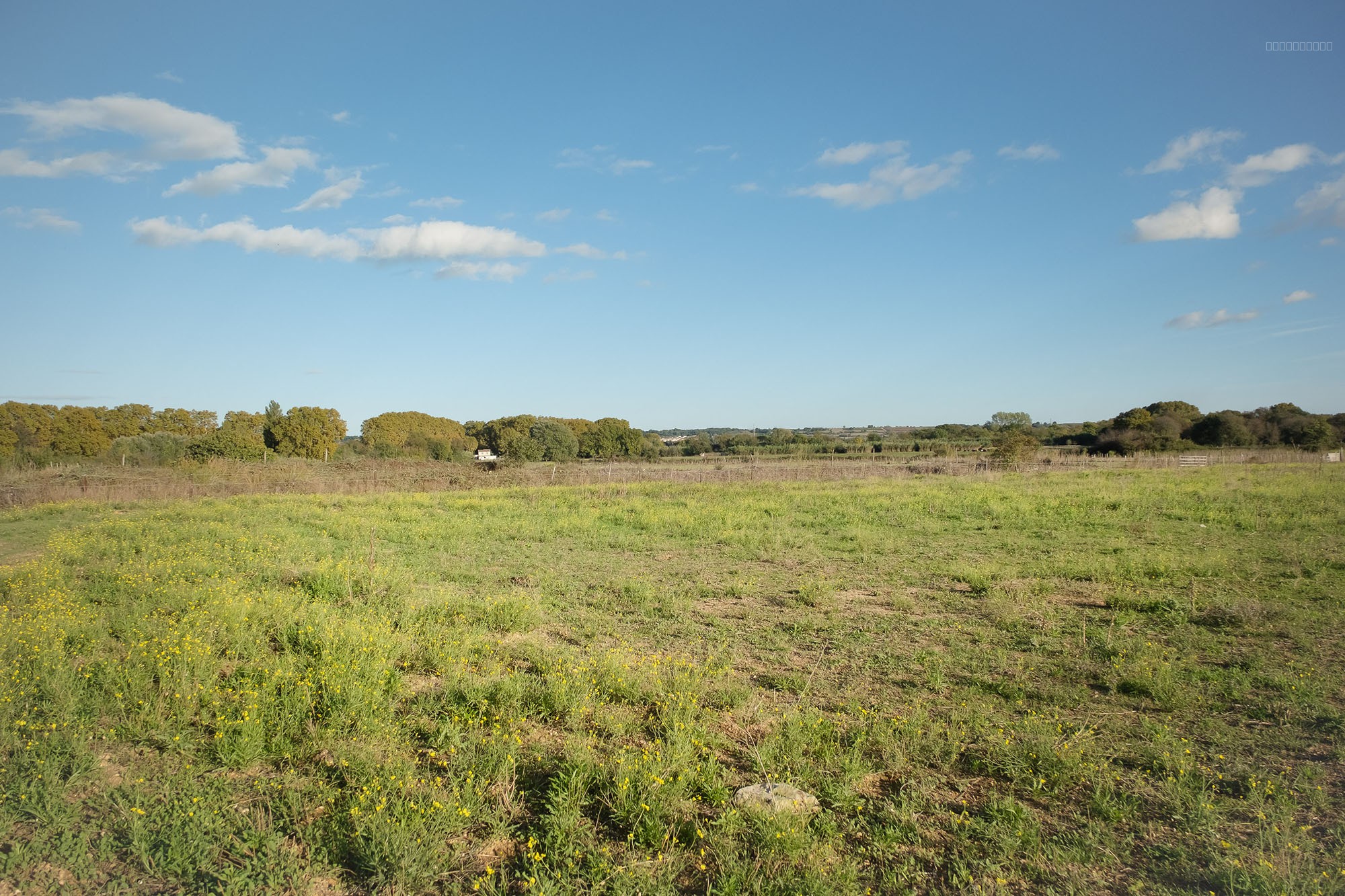 DOSSIER No : Terrain_LOT11_LE CAILAR — photo 3