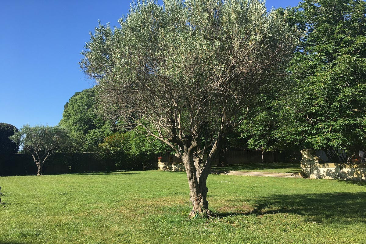 Inédit Terrain à bâtir 640 m2 proche de Montpellier — photo 16