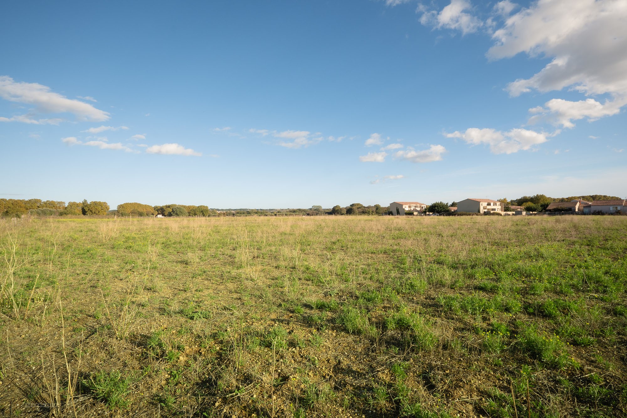 DOSSIER No : Terrain_LOT4_LE CAILAR — photo 4
