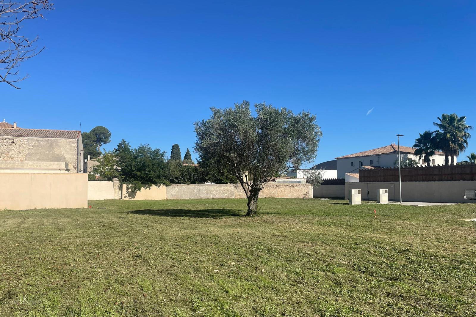 Produit rare, terrain de 734 m2 — photo 4