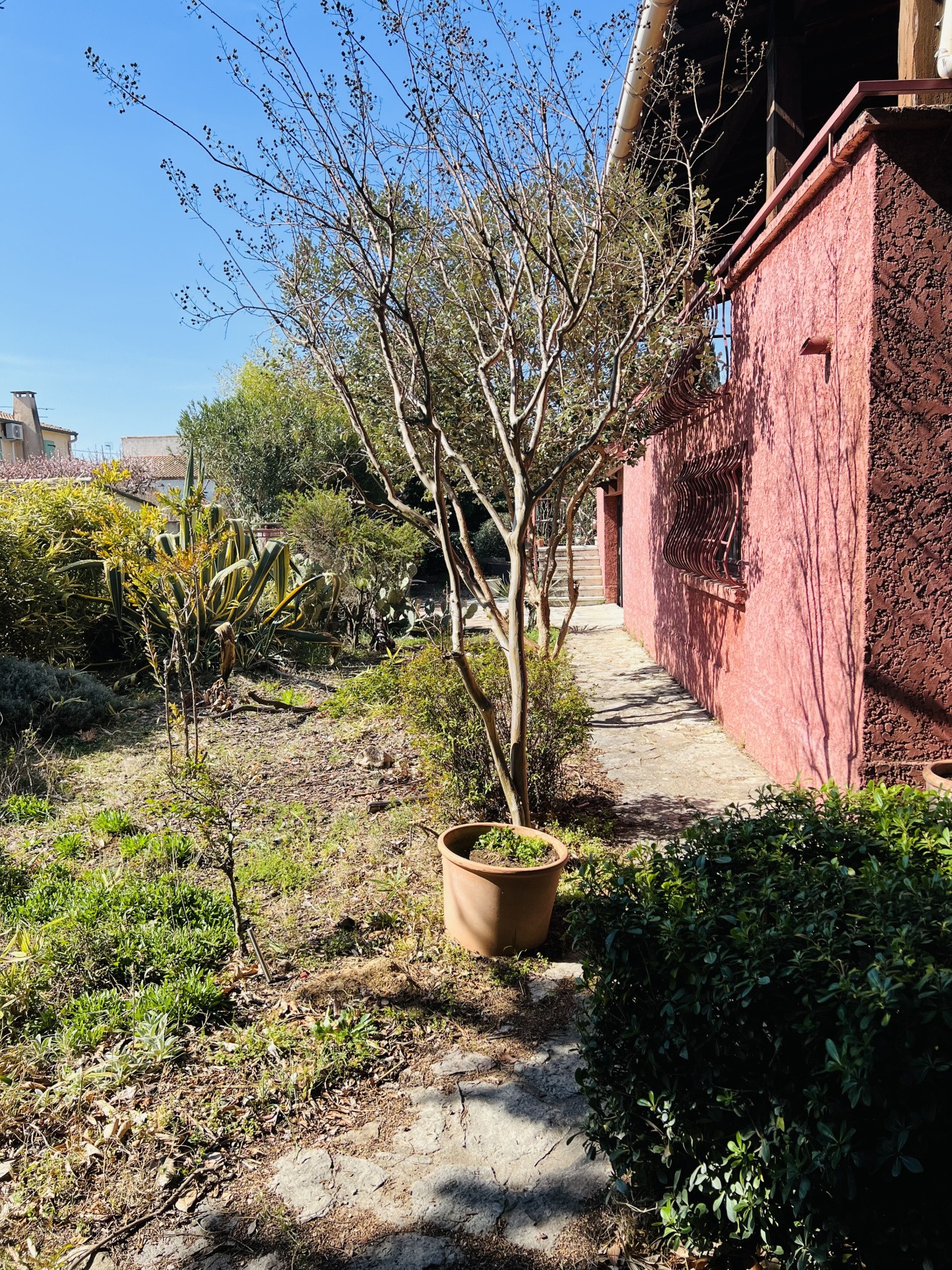 Terrain de 800m2 — photo 12