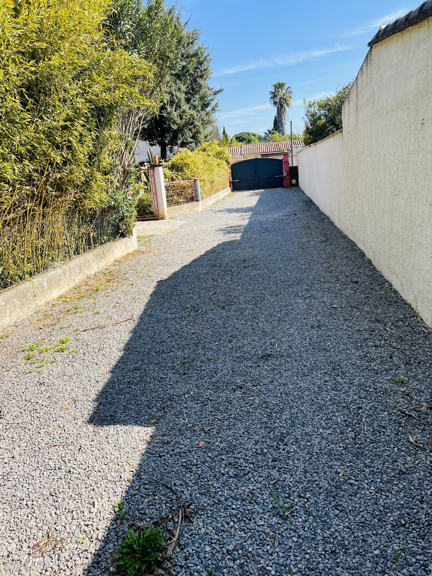 Terrain de 800m2 — photo 6