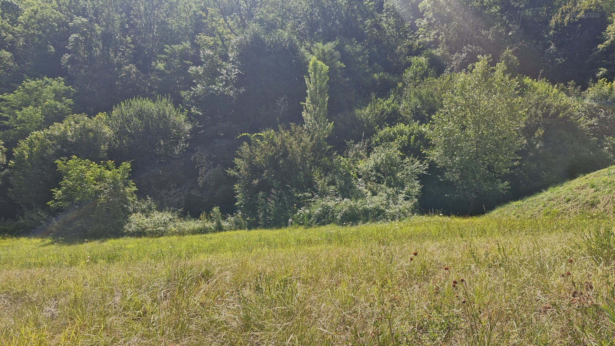 Terrain à bâtir — photo 1