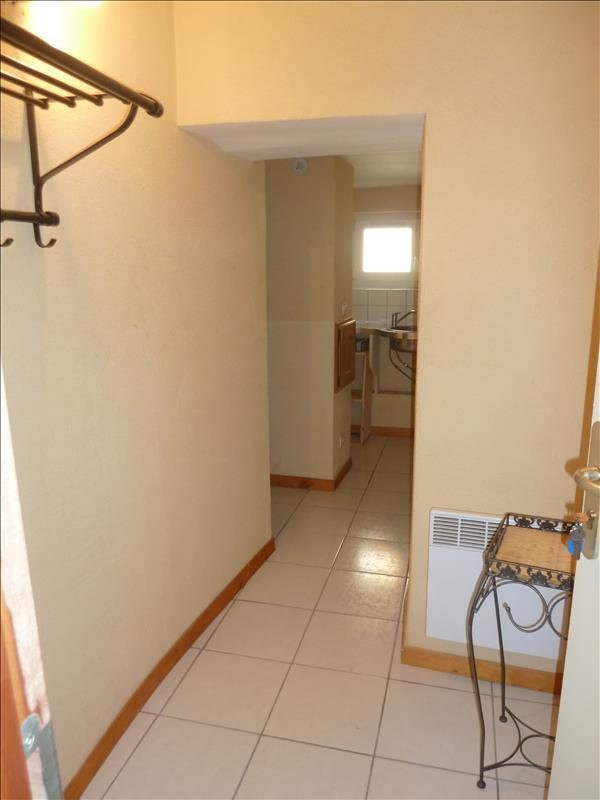 CHAMBERY, hyper centre T1 en duplex — photo 8