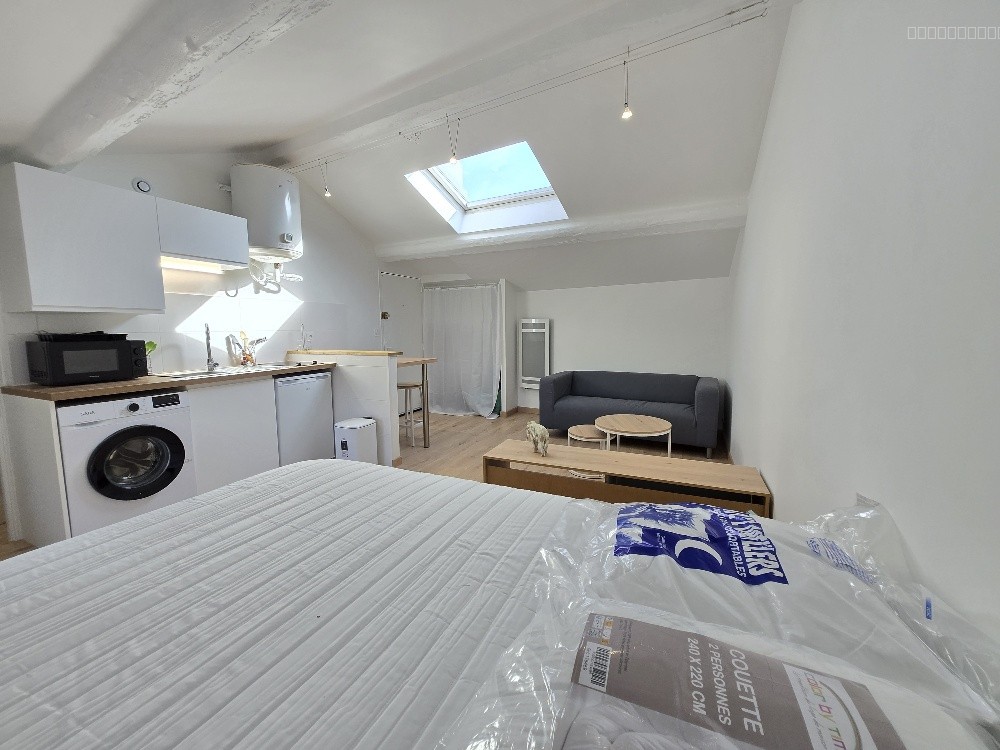 Studio meublé design 25 m2 Francheville (Limite Tassin) — photo 11