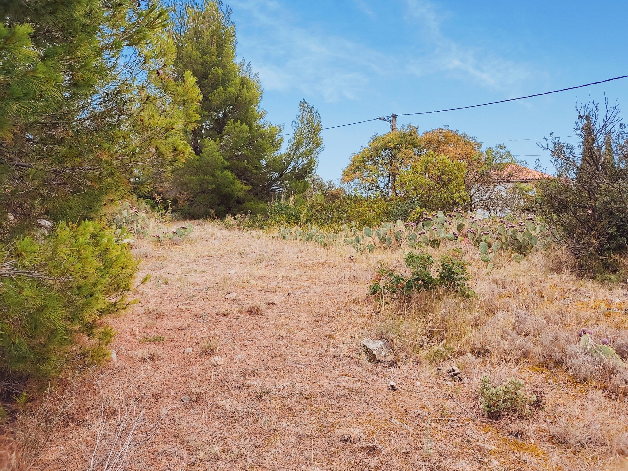 Terrain à vendre 60500 € à Félines-Minervois (34) — photo 4