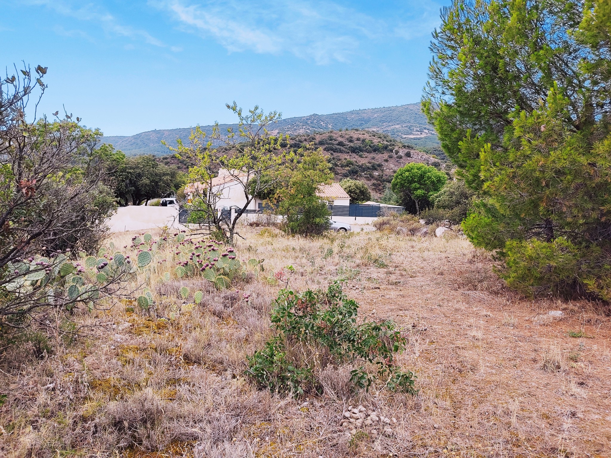 Terrain à vendre 60500 € à Félines-Minervois (34) — photo 2