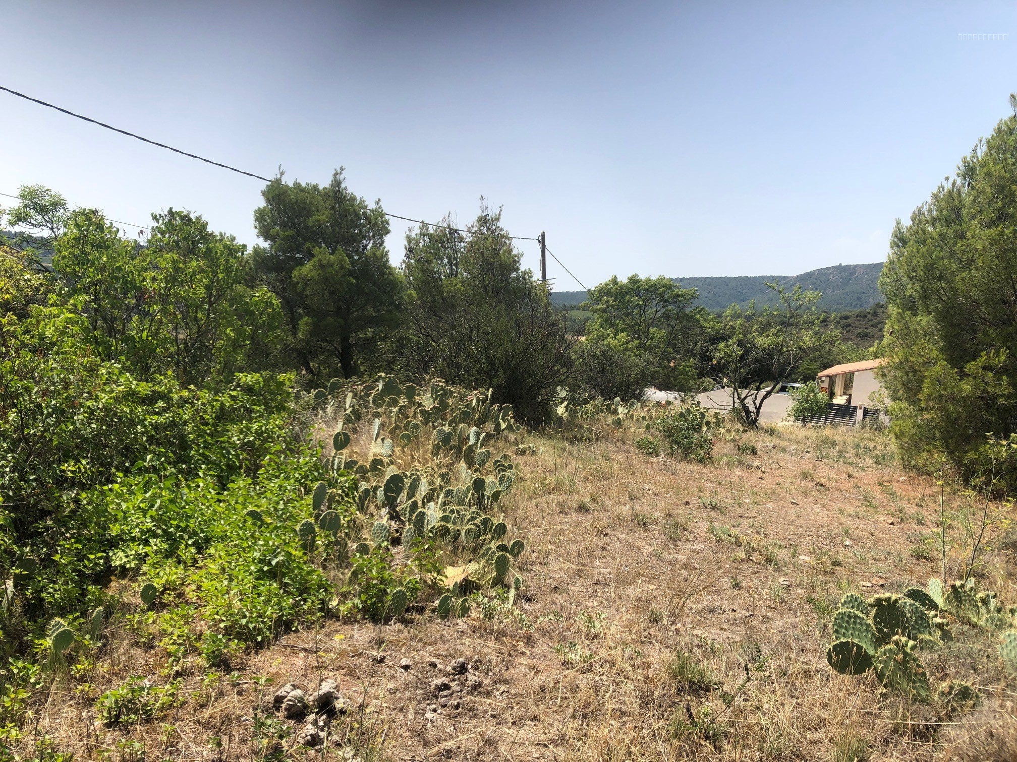 Terrain à vendre 60500 € à Félines-Minervois (34) — photo 1