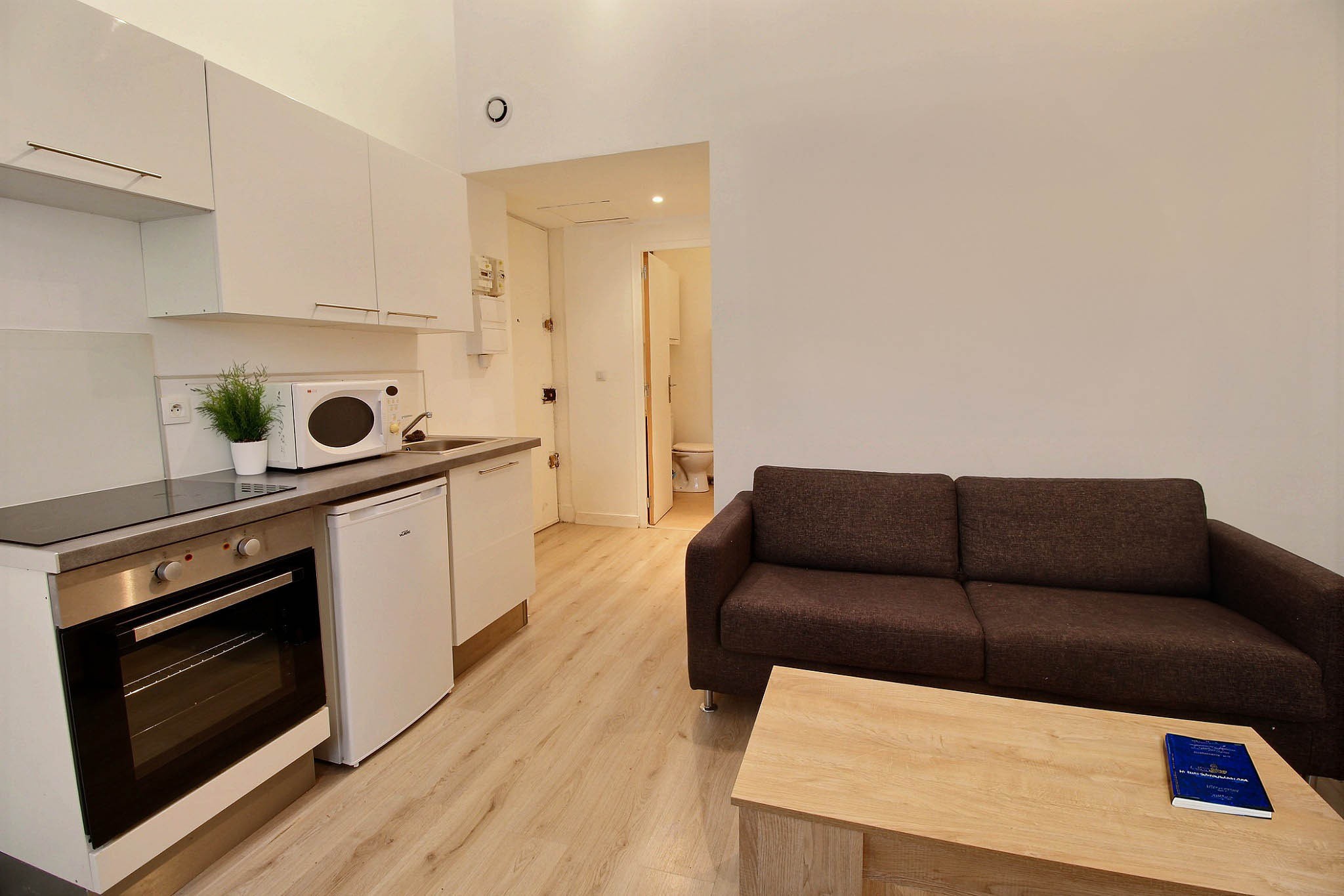 Lyon 3 Ensemble immobilier composé de 2 studios loués en bail meublé! Trés bonne rentabilité! — photo 3