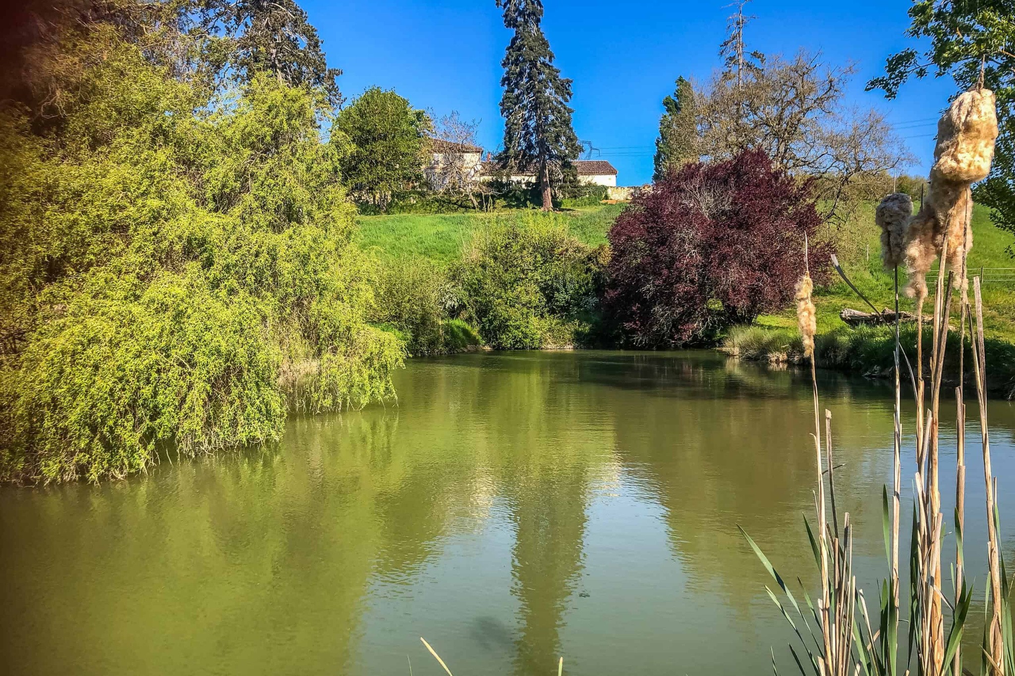 Country estate with equestrian facilities and lake — photo 17