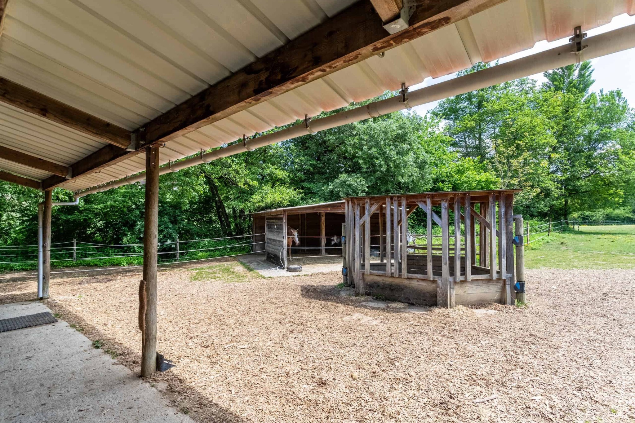 Equestrian property — photo 9