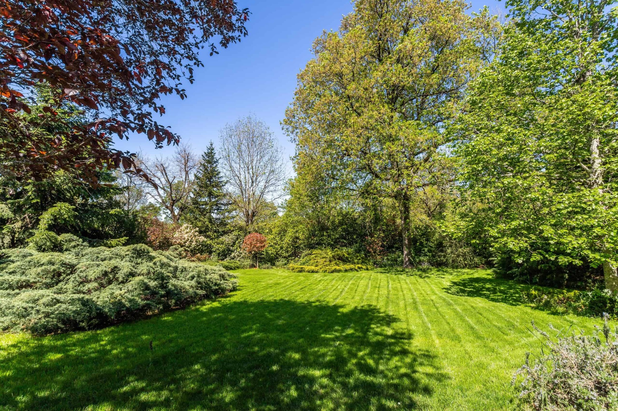 Country property with guest accommodation, pool and outbuildings — photo 17
