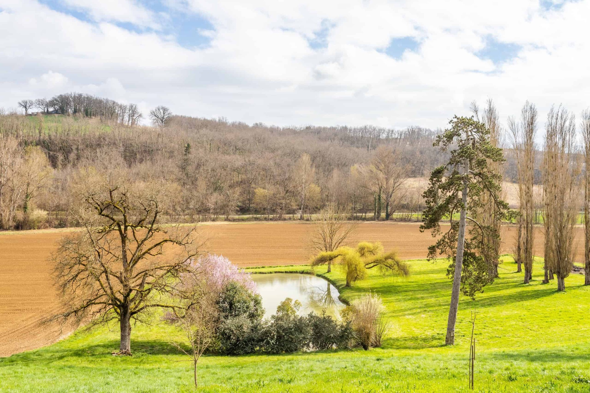 Country estate with equestrian facilities and lake — photo 16