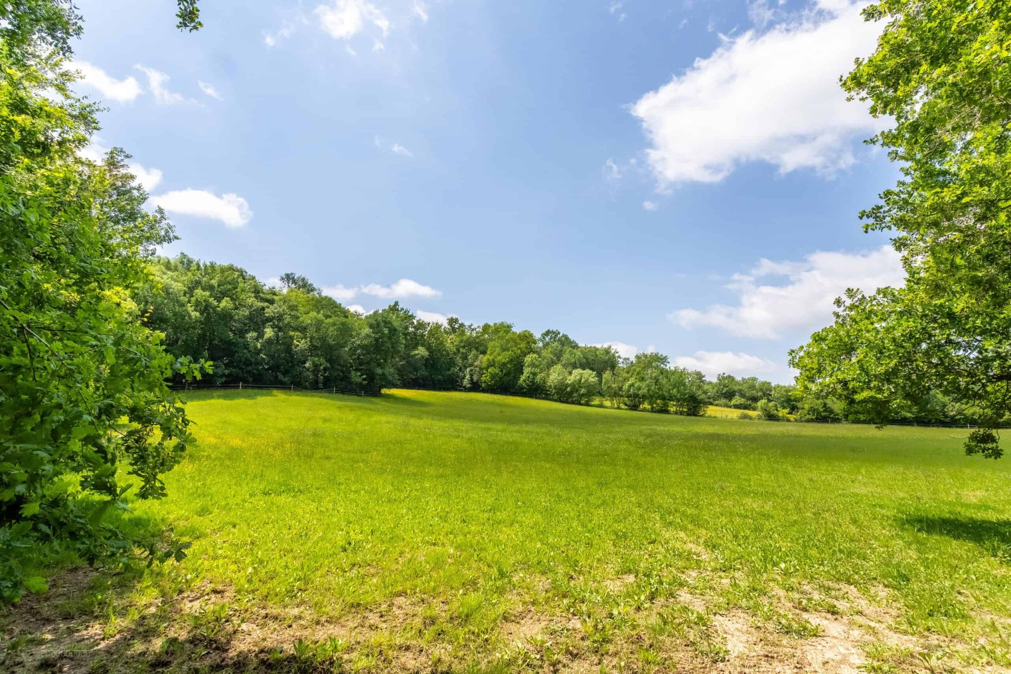 Equestrian property — photo 14