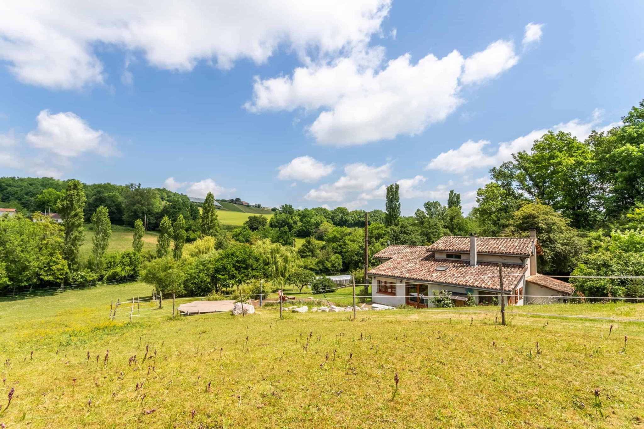 Equestrian property — photo 4