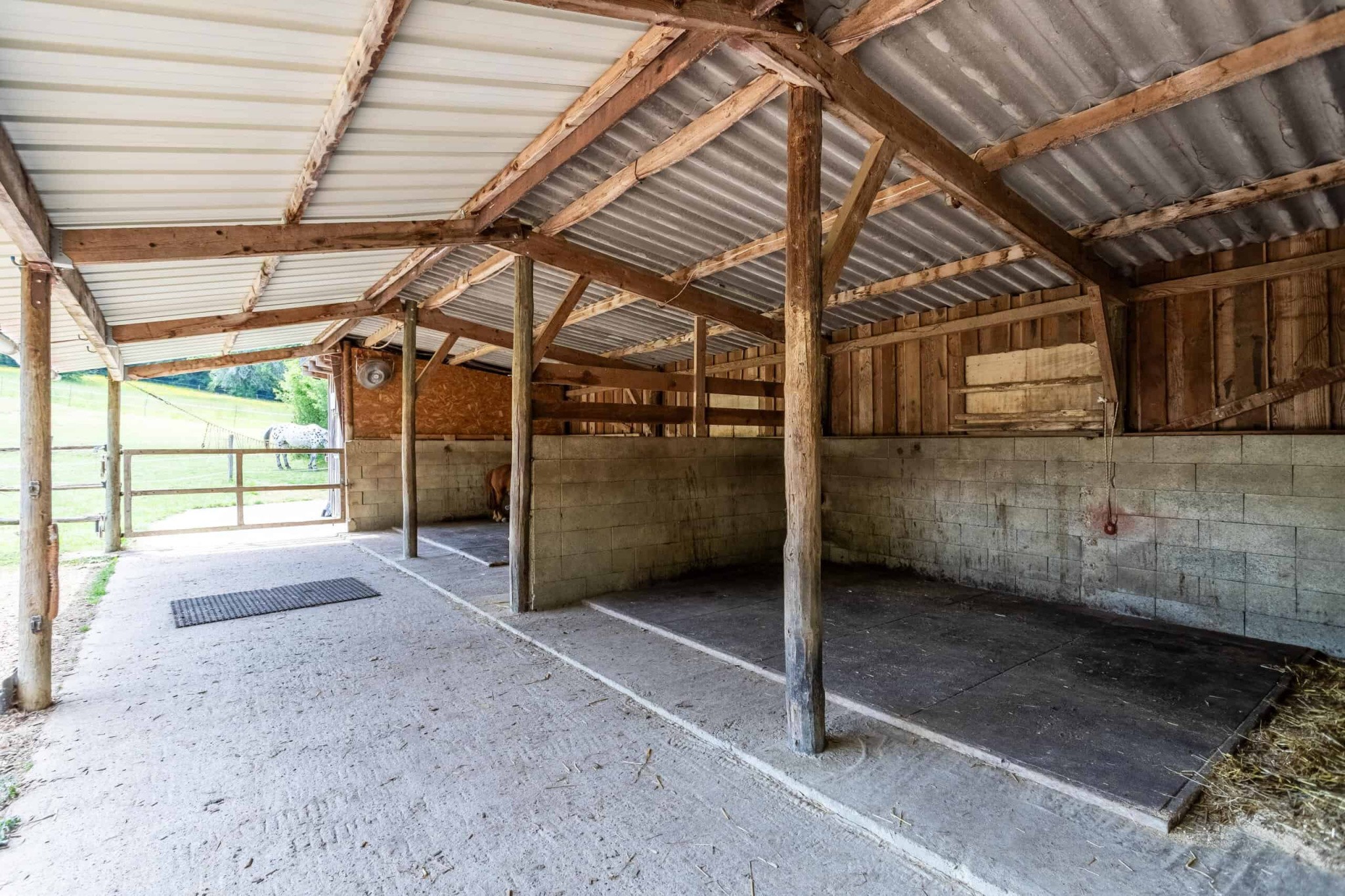 Equestrian property — photo 10