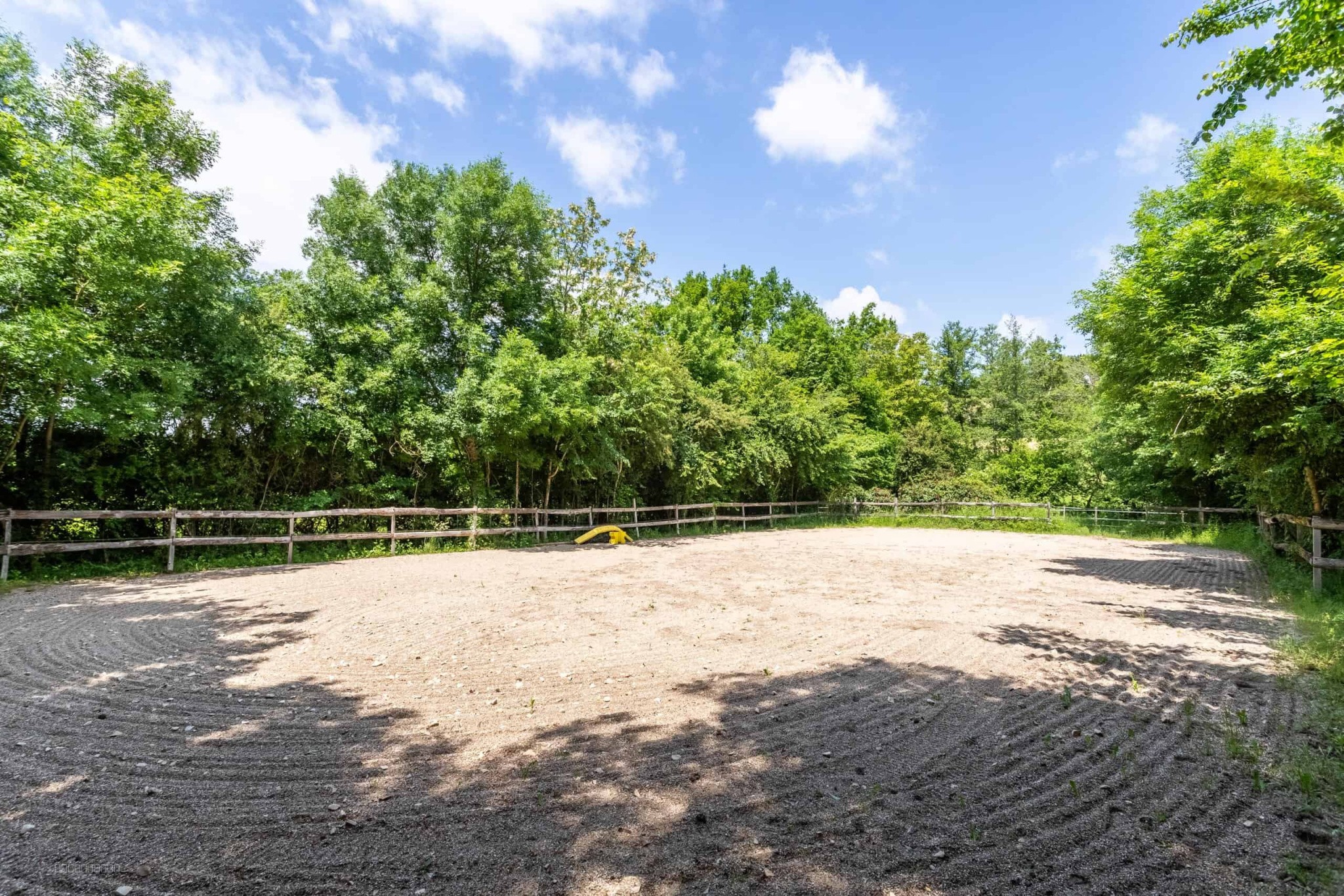 Equestrian property — photo 18