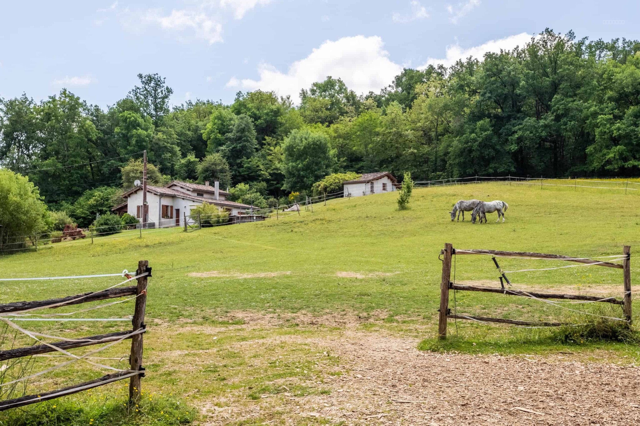 Equestrian property — photo 3
