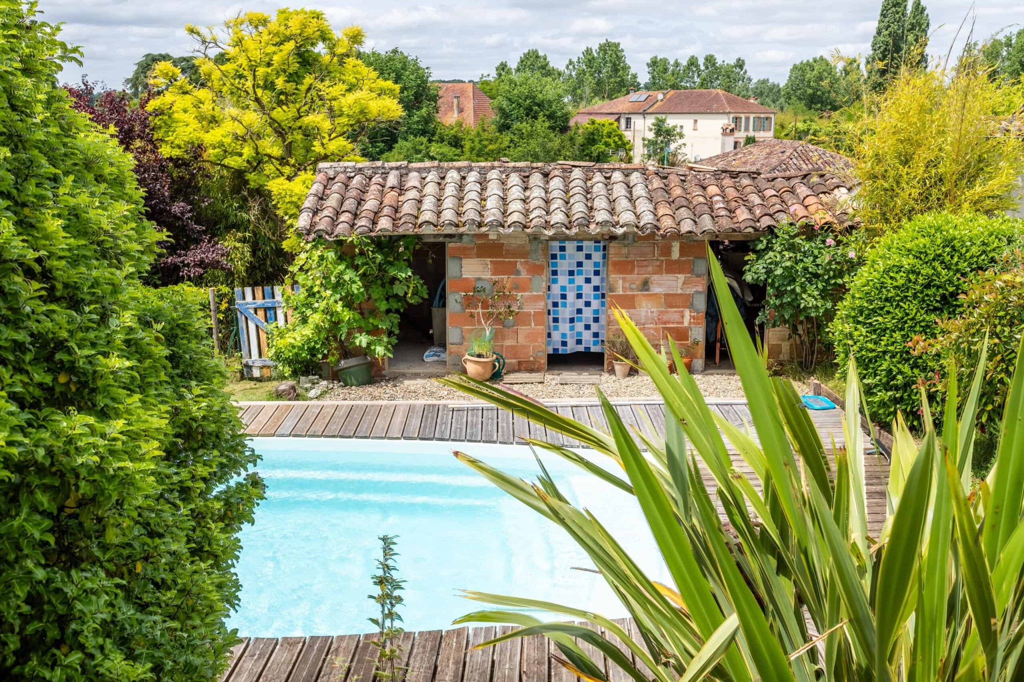 Village house with pool and garden — photo 6