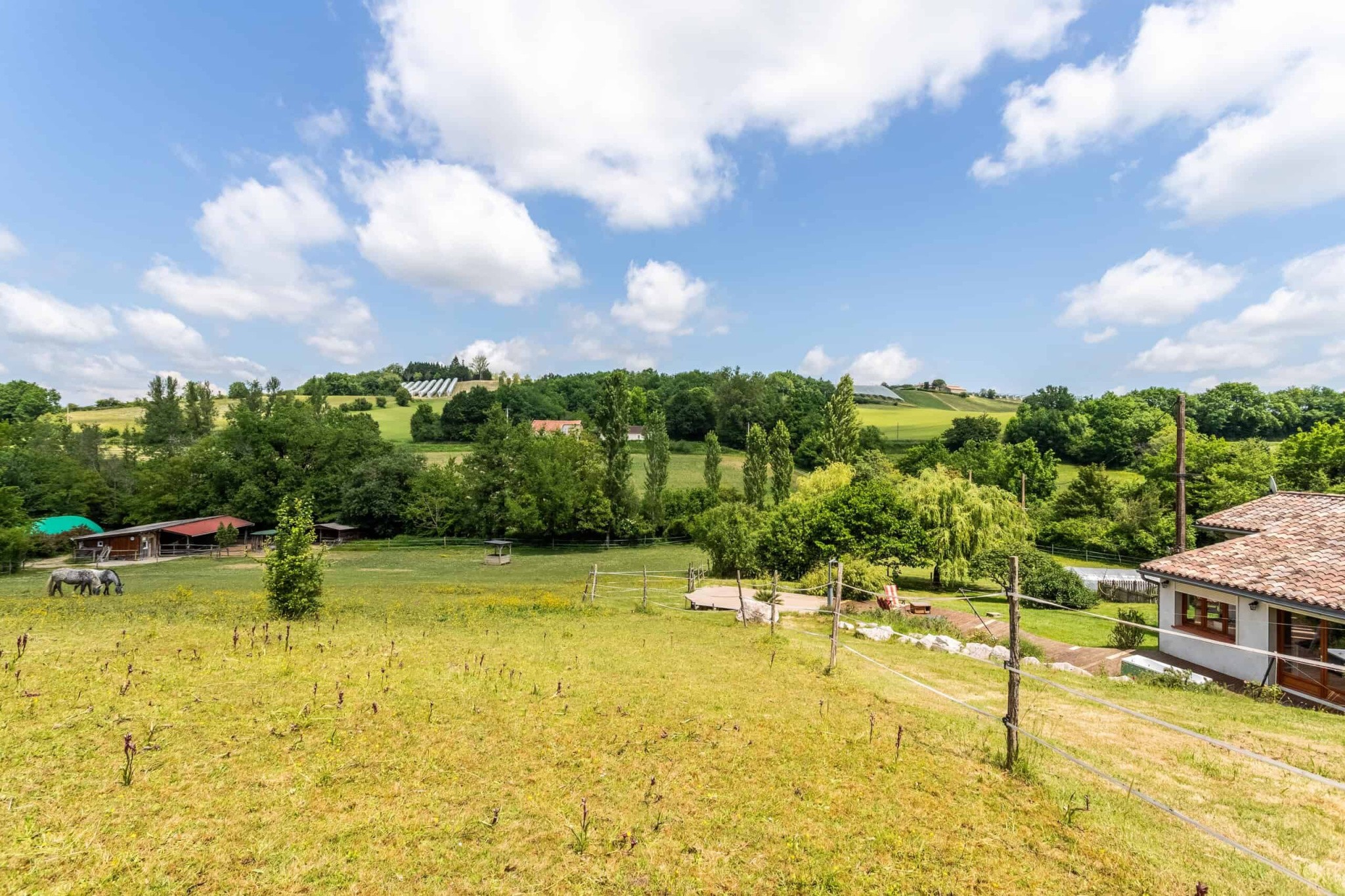 Equestrian property — photo 15