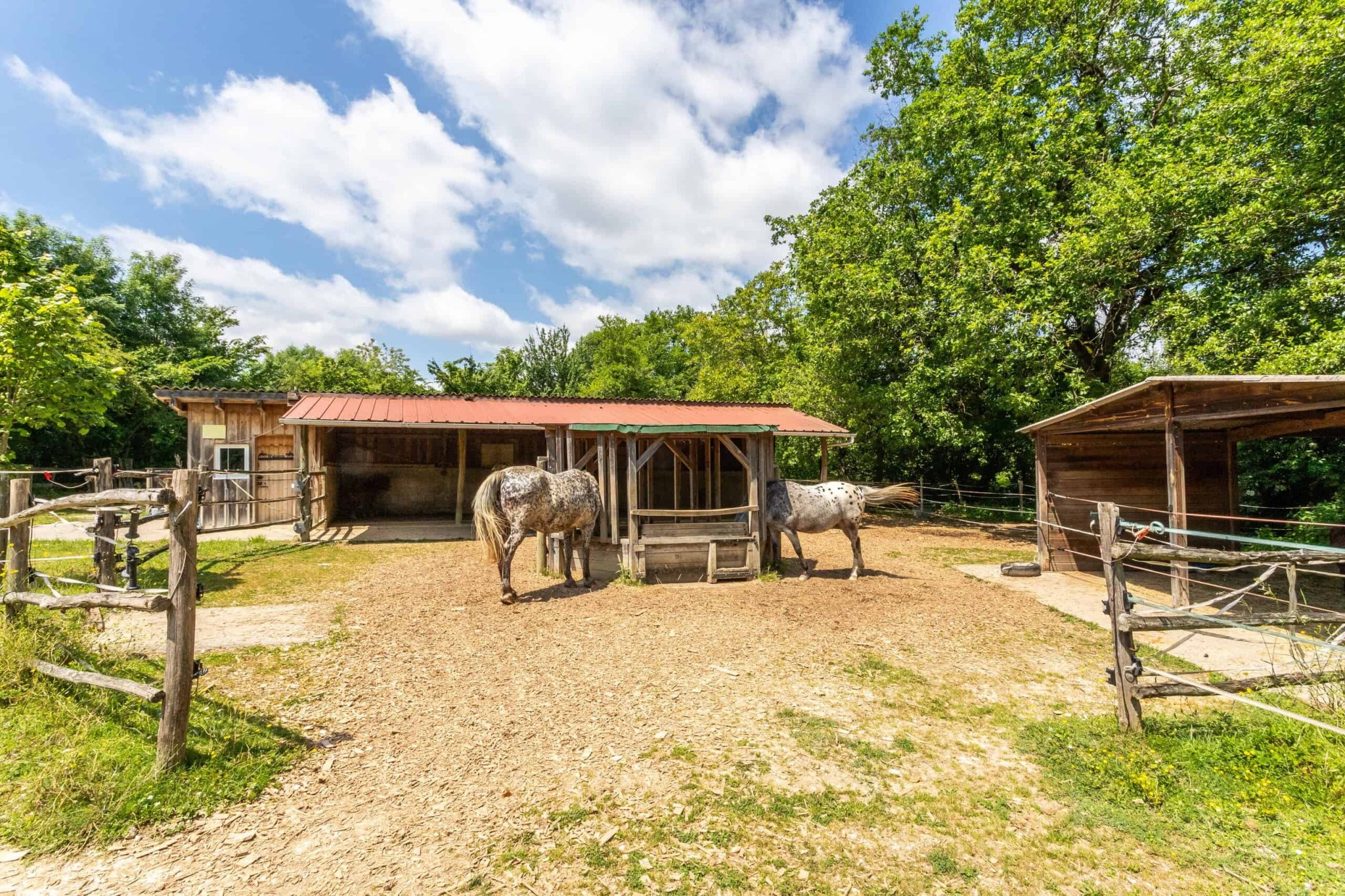 Equestrian property — photo 5