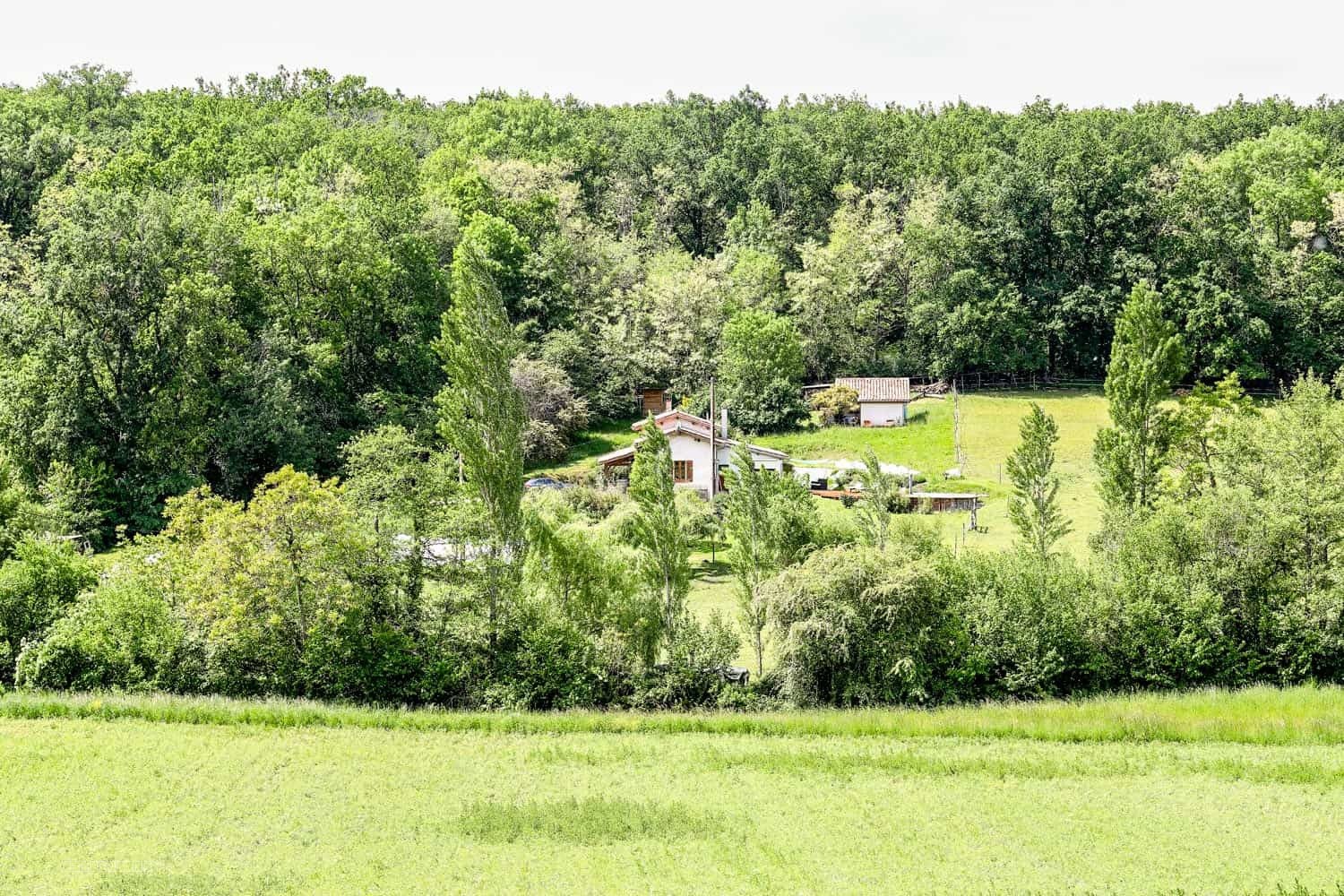 Equestrian property — photo 8